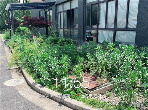 思才2-前_副本.jpg 思才2-前_副本.jpg