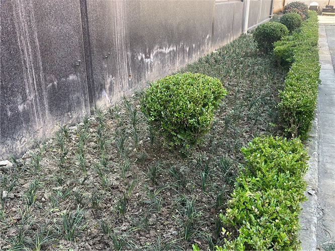 思才3-后_副本_副本.jpg 思才3-后_副本_副本.jpg